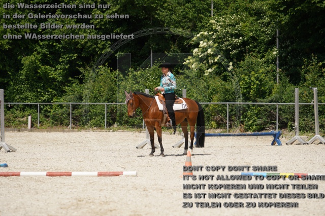 s_K3F02349.JPG